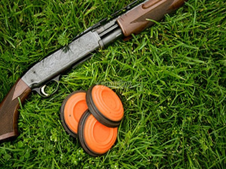 The gun and disks The gun and disks